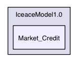 /Users/bulent/Documents/AWorkspace/iceace/IceaceModel1.0/Market_Credit